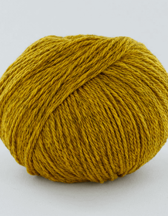 Fonty Mongolia 3 24-Гірчиця